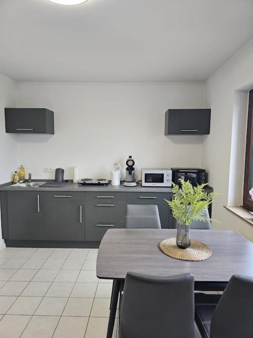 Gemuetliche Ferienwohnung Mülheim-Kärlich Eksteriør billede